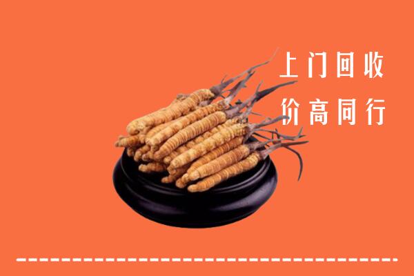高价求购：周口市太康县回收散虫草