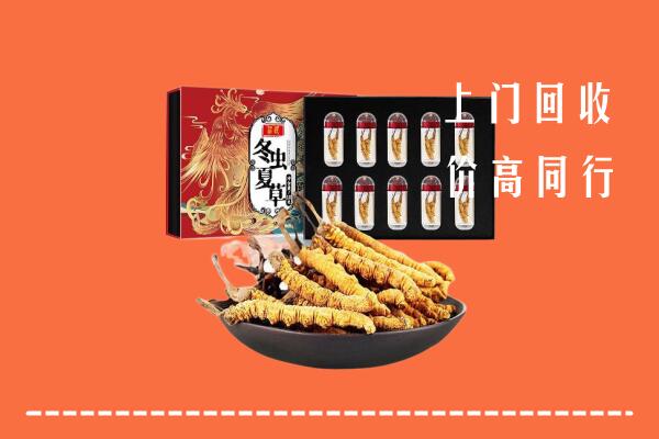 周口市太康县回收虫草